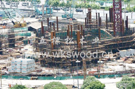 中國(guó)建筑工程總公司與五棵松攜手合作